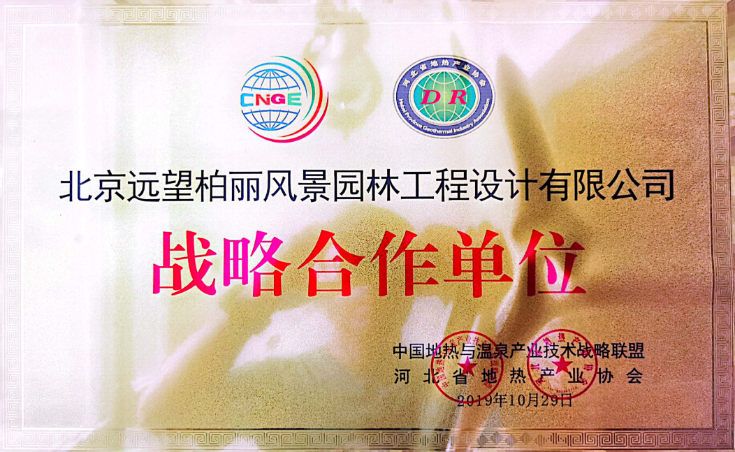 战略合作单位奖牌